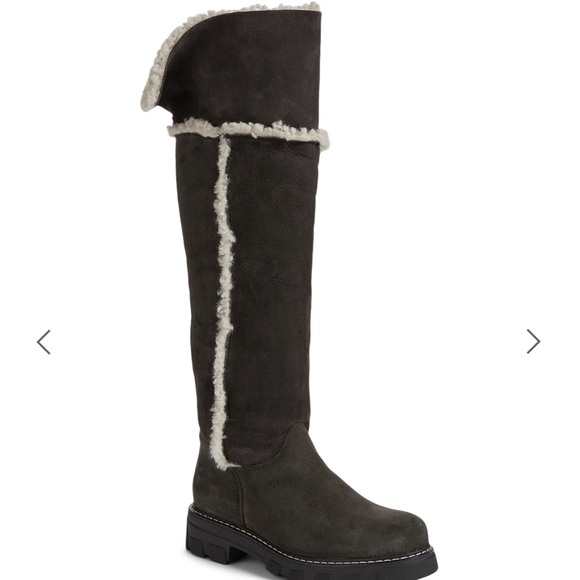 La Canadienne NEW Tammy Suede & Shearling boots - Picture 1 of 8
